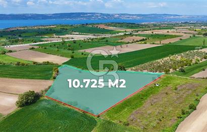 ÇANAKKALE LAPSEKİ KANGIRLI SATILIK TARLA BOĞAZ VE KÖPRÜ MANZARALI 