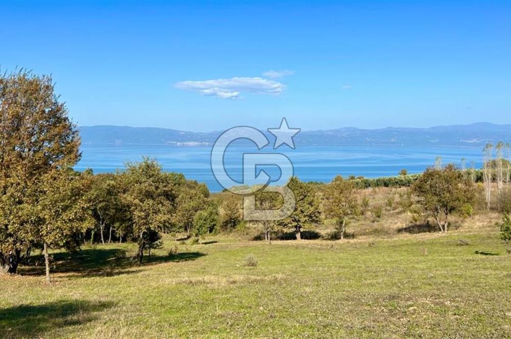İznik Göllüce’de Panoromik Göl Manzaralı 12.817 M² Satılık Tarla