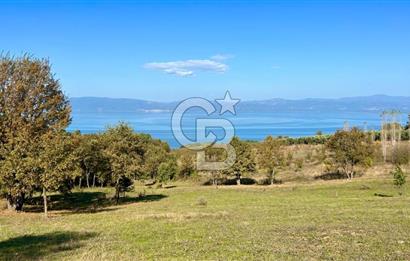 İznik Göllüce’de Panoromik Göl Manzaralı 12.817 M² Satılık Tarla