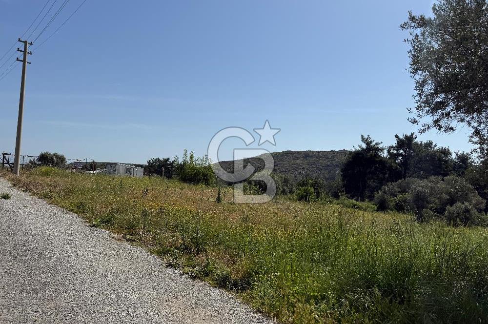 Menderes Değirmendere'de 1718 M² Satılık Tarla