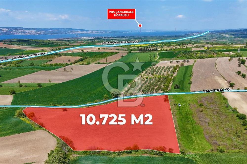 ÇANAKKALE LAPSEKİ KANGIRLI SATILIK TARLA BOĞAZ VE KÖPRÜ MANZARALI 
