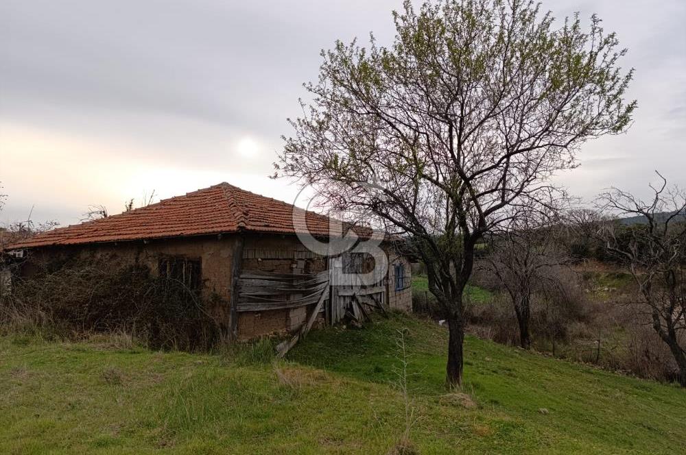 UYGUN FİYATA DOĞA İLE İÇ İÇE, HUZURLU YAŞAM FIRSATI! 