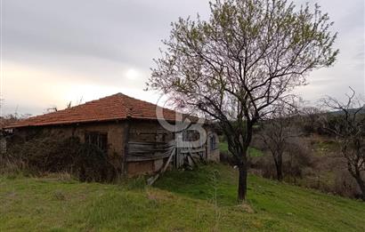 UYGUN FİYATA DOĞA İLE İÇ İÇE, HUZURLU YAŞAM FIRSATI! 