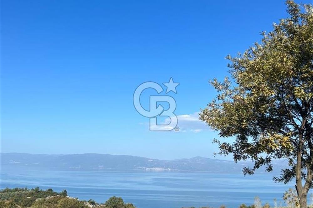 İznik Göllüce’de Panoromik Göl Manzaralı 12.817 M² Satılık Tarla