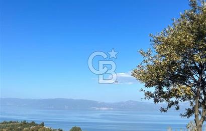 İznik Göllüce’de Panoromik Göl Manzaralı 12.817 M² Satılık Tarla