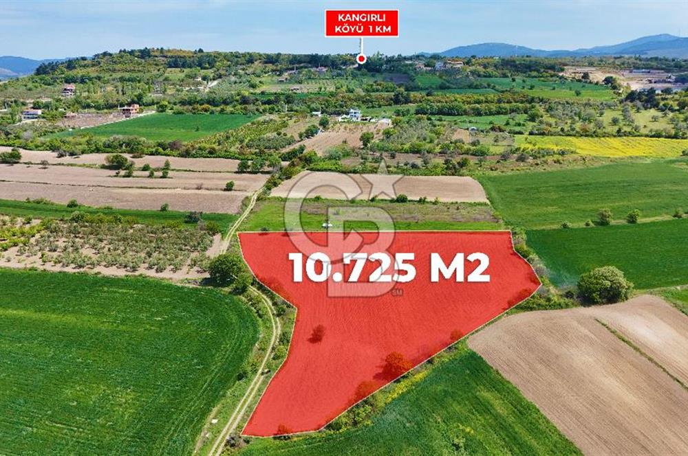 ÇANAKKALE LAPSEKİ KANGIRLI SATILIK TARLA BOĞAZ VE KÖPRÜ MANZARALI 