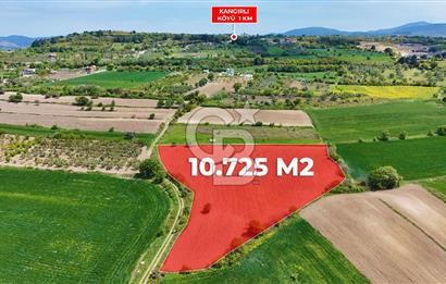 ÇANAKKALE LAPSEKİ KANGIRLI SATILIK TARLA BOĞAZ VE KÖPRÜ MANZARALI 