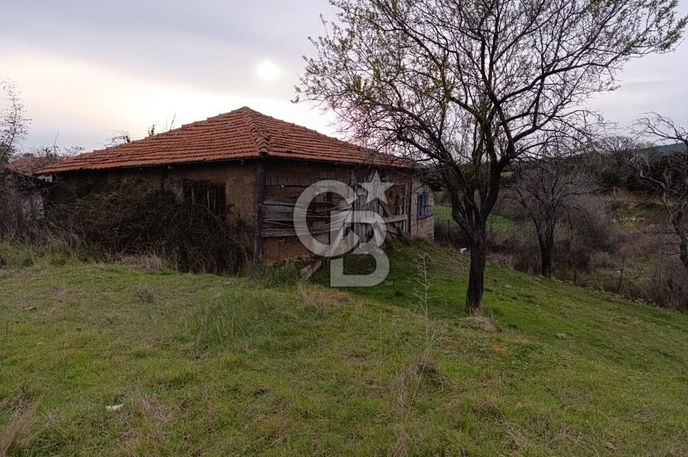 UYGUN FİYATA DOĞA İLE İÇ İÇE, HUZURLU YAŞAM FIRSATI! 