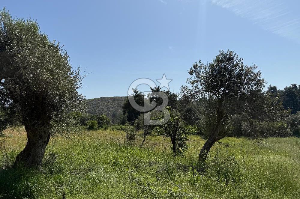 Menderes Değirmendere'de 1718 M² Satılık Tarla