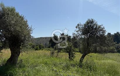 Menderes Değirmendere'de 1718 M² Satılık Tarla
