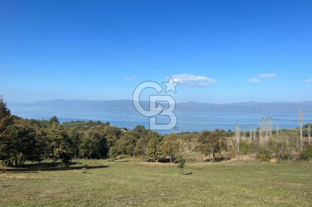 İznik Göllüce’de Panoromik Göl Manzaralı 12.817 M² Satılık Tarla