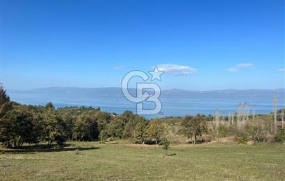 İznik Göllüce’de Panoromik Göl Manzaralı 12.817 M² Satılık Tarla