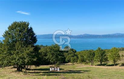 İznik Göllüce’de Panoromik Göl Manzaralı 12.817 M² Satılık Tarla