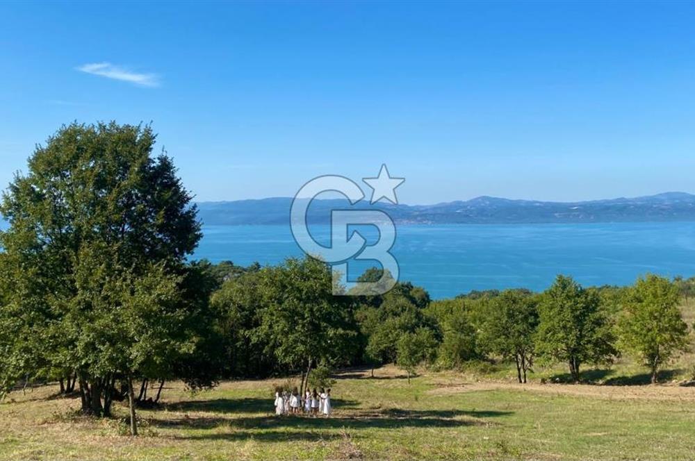 İznik Göllüce’de Panoromik Göl Manzaralı 12.817 M² Satılık Tarla