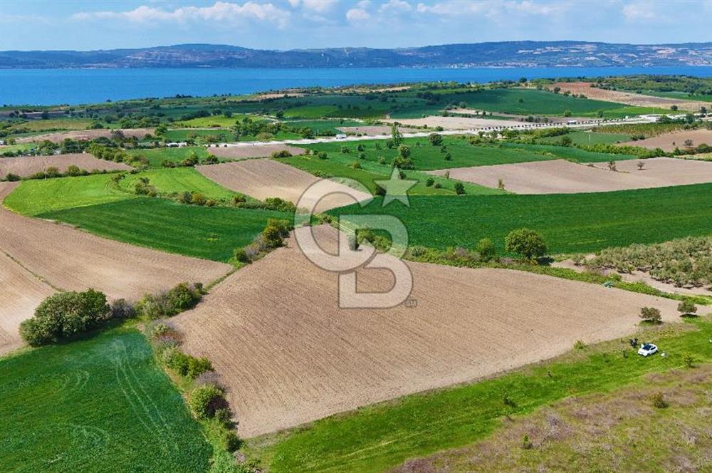 ÇANAKKALE LAPSEKİ KANGIRLI SATILIK TARLA BOĞAZ VE KÖPRÜ MANZARALI 