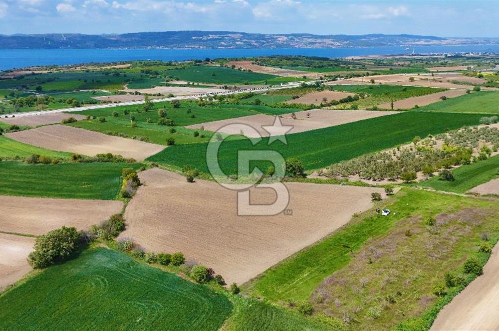 ÇANAKKALE LAPSEKİ KANGIRLI SATILIK TARLA BOĞAZ VE KÖPRÜ MANZARALI 