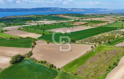 ÇANAKKALE LAPSEKİ KANGIRLI SATILIK TARLA BOĞAZ VE KÖPRÜ MANZARALI 