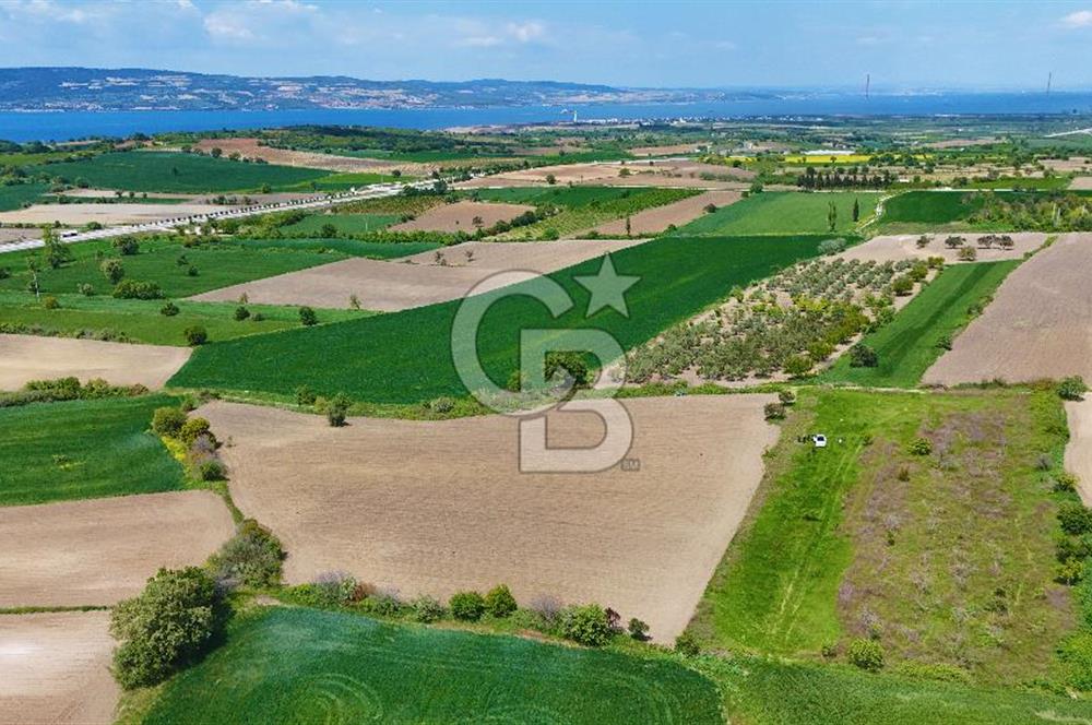ÇANAKKALE LAPSEKİ KANGIRLI SATILIK TARLA BOĞAZ VE KÖPRÜ MANZARALI 