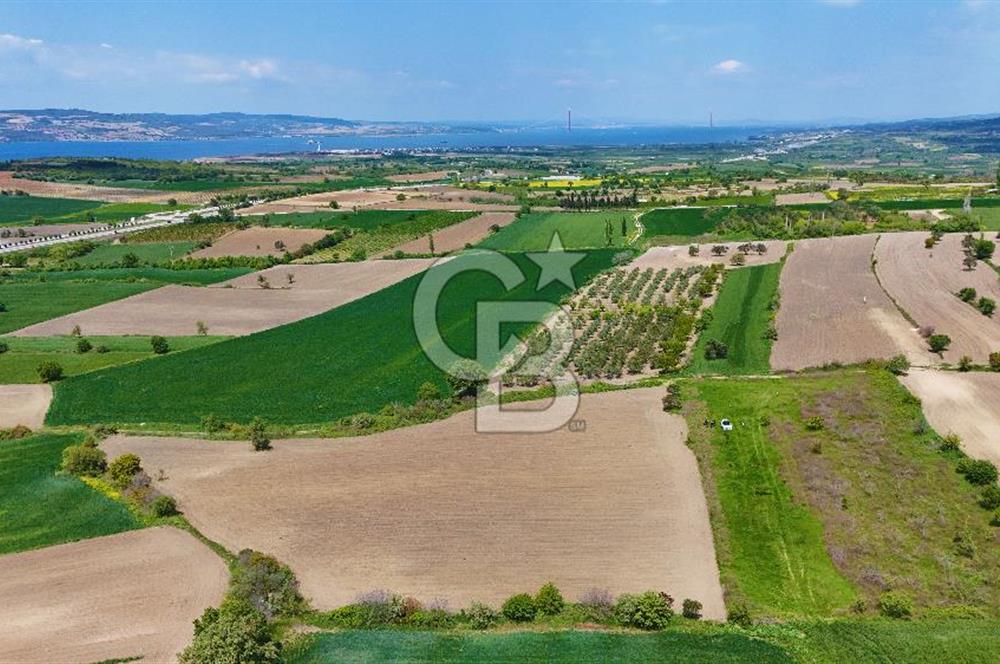 ÇANAKKALE LAPSEKİ KANGIRLI SATILIK TARLA BOĞAZ VE KÖPRÜ MANZARALI 
