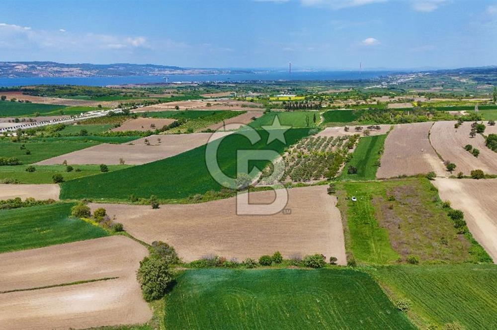 ÇANAKKALE LAPSEKİ KANGIRLI SATILIK TARLA BOĞAZ VE KÖPRÜ MANZARALI 