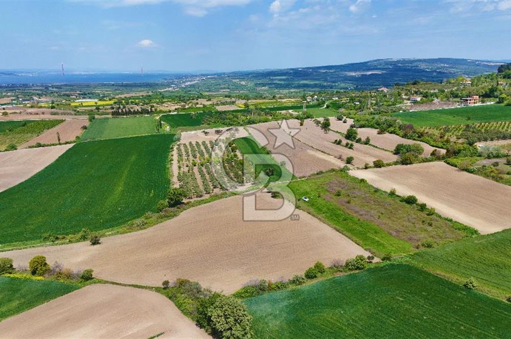 ÇANAKKALE LAPSEKİ KANGIRLI SATILIK TARLA BOĞAZ VE KÖPRÜ MANZARALI 