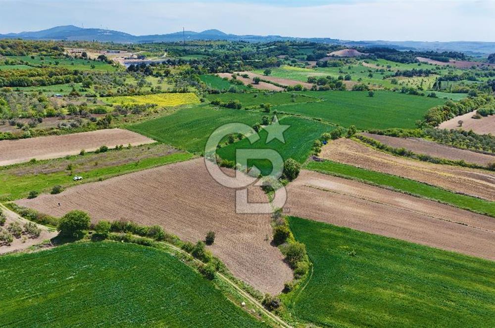 ÇANAKKALE LAPSEKİ KANGIRLI SATILIK TARLA BOĞAZ VE KÖPRÜ MANZARALI 