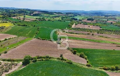 ÇANAKKALE LAPSEKİ KANGIRLI SATILIK TARLA BOĞAZ VE KÖPRÜ MANZARALI 