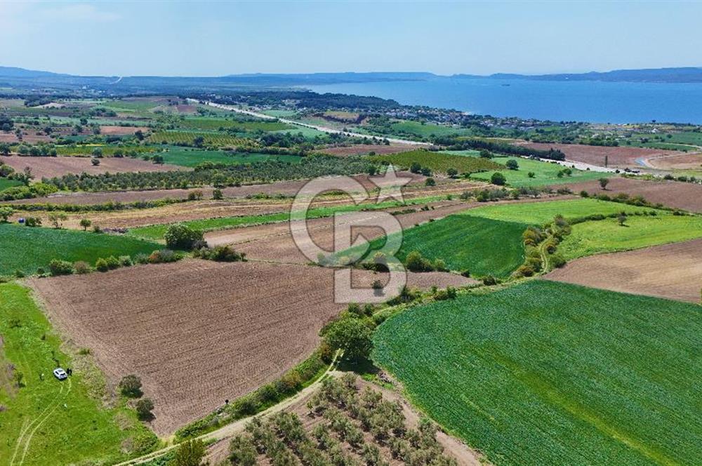 ÇANAKKALE LAPSEKİ KANGIRLI SATILIK TARLA BOĞAZ VE KÖPRÜ MANZARALI 