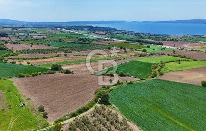 ÇANAKKALE LAPSEKİ KANGIRLI SATILIK TARLA BOĞAZ VE KÖPRÜ MANZARALI 