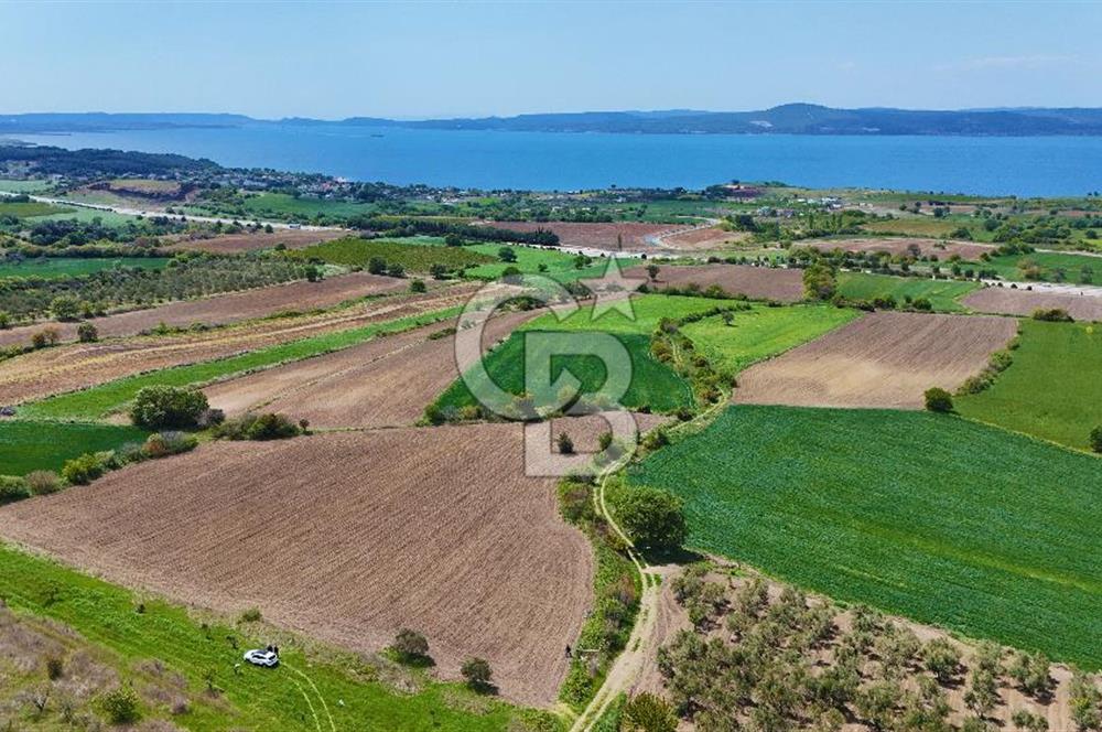 ÇANAKKALE LAPSEKİ KANGIRLI SATILIK TARLA BOĞAZ VE KÖPRÜ MANZARALI 