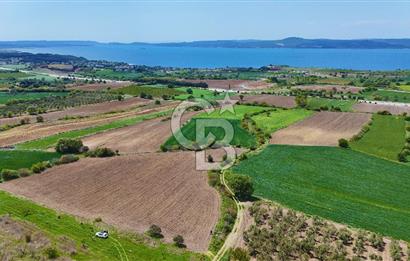 ÇANAKKALE LAPSEKİ KANGIRLI SATILIK TARLA BOĞAZ VE KÖPRÜ MANZARALI 