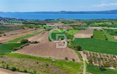ÇANAKKALE LAPSEKİ KANGIRLI SATILIK TARLA BOĞAZ VE KÖPRÜ MANZARALI 