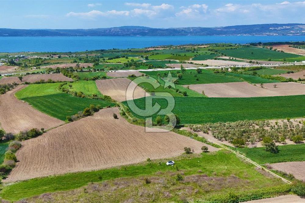 ÇANAKKALE LAPSEKİ KANGIRLI SATILIK TARLA BOĞAZ VE KÖPRÜ MANZARALI 