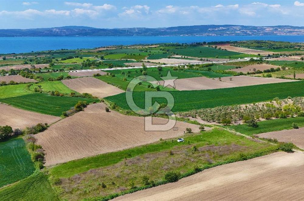 ÇANAKKALE LAPSEKİ KANGIRLI SATILIK TARLA BOĞAZ VE KÖPRÜ MANZARALI 