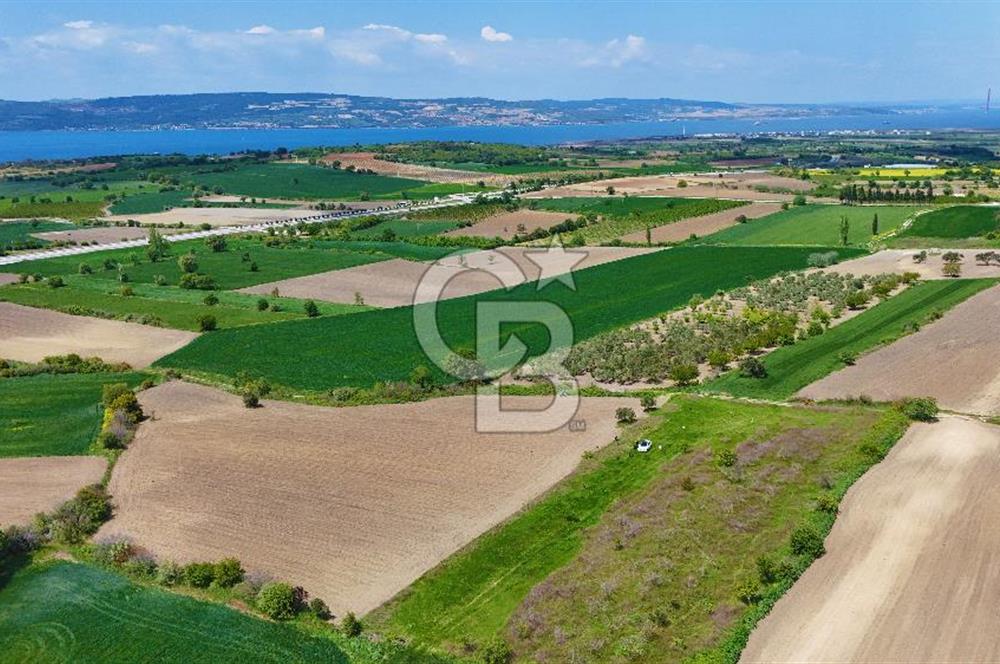 ÇANAKKALE LAPSEKİ KANGIRLI SATILIK TARLA BOĞAZ VE KÖPRÜ MANZARALI 