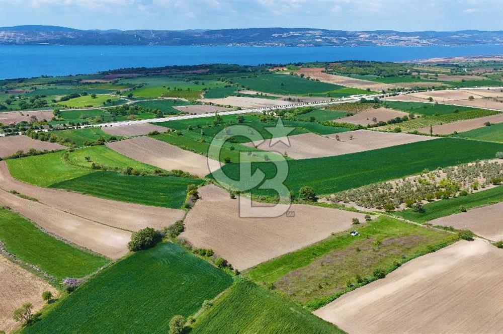 ÇANAKKALE LAPSEKİ KANGIRLI SATILIK TARLA BOĞAZ VE KÖPRÜ MANZARALI 