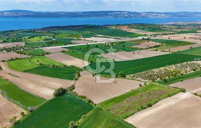 ÇANAKKALE LAPSEKİ KANGIRLI SATILIK TARLA BOĞAZ VE KÖPRÜ MANZARALI 