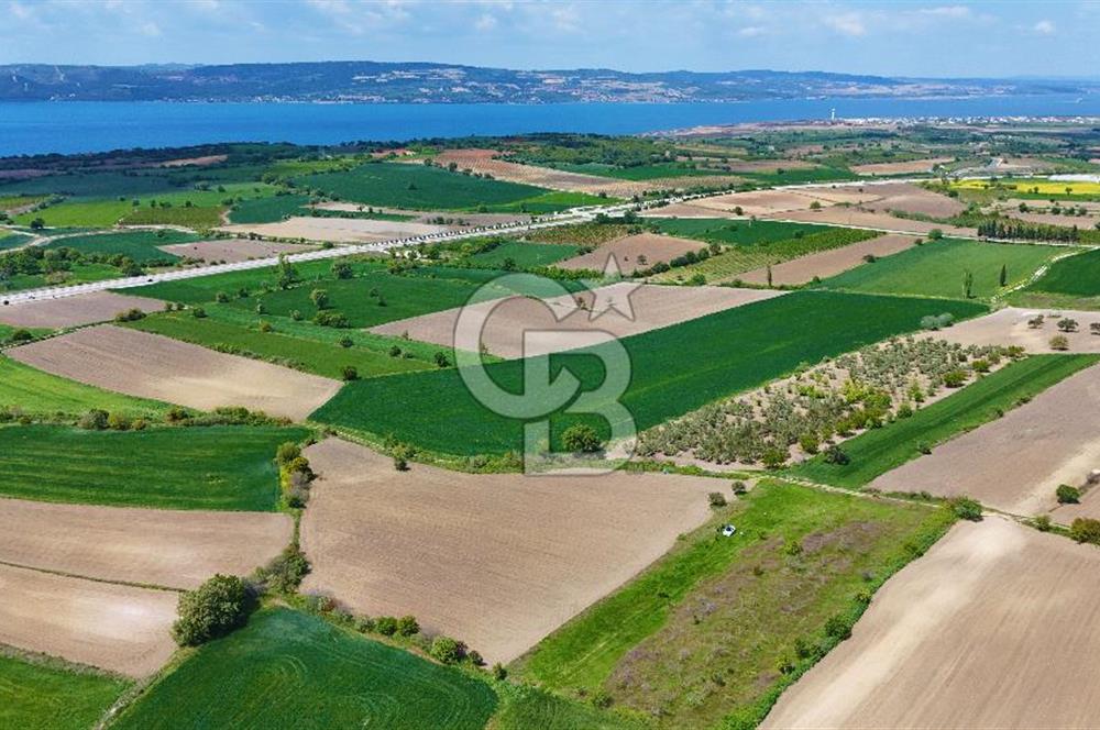 ÇANAKKALE LAPSEKİ KANGIRLI SATILIK TARLA BOĞAZ VE KÖPRÜ MANZARALI 