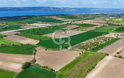 ÇANAKKALE LAPSEKİ KANGIRLI SATILIK TARLA BOĞAZ VE KÖPRÜ MANZARALI 