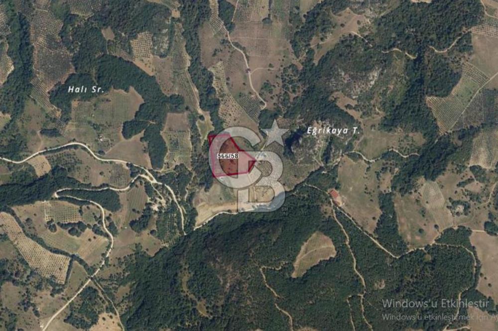 İznik Göllüce’de Panoromik Göl Manzaralı 12.817 M² Satılık Tarla