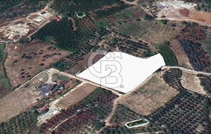 Mersin Yenişehir Uzunkaş Satılık Bahçe