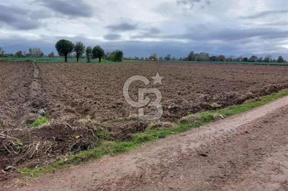 SAKARYAYA 5 KM! ERENLER BÜYÜKESENCE'DE YATIRIMLIK TARLA FIRSATI