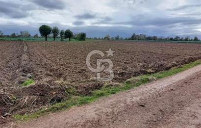 SAKARYAYA 5 KM! ERENLER BÜYÜKESENCE'DE YATIRIMLIK TARLA FIRSATI