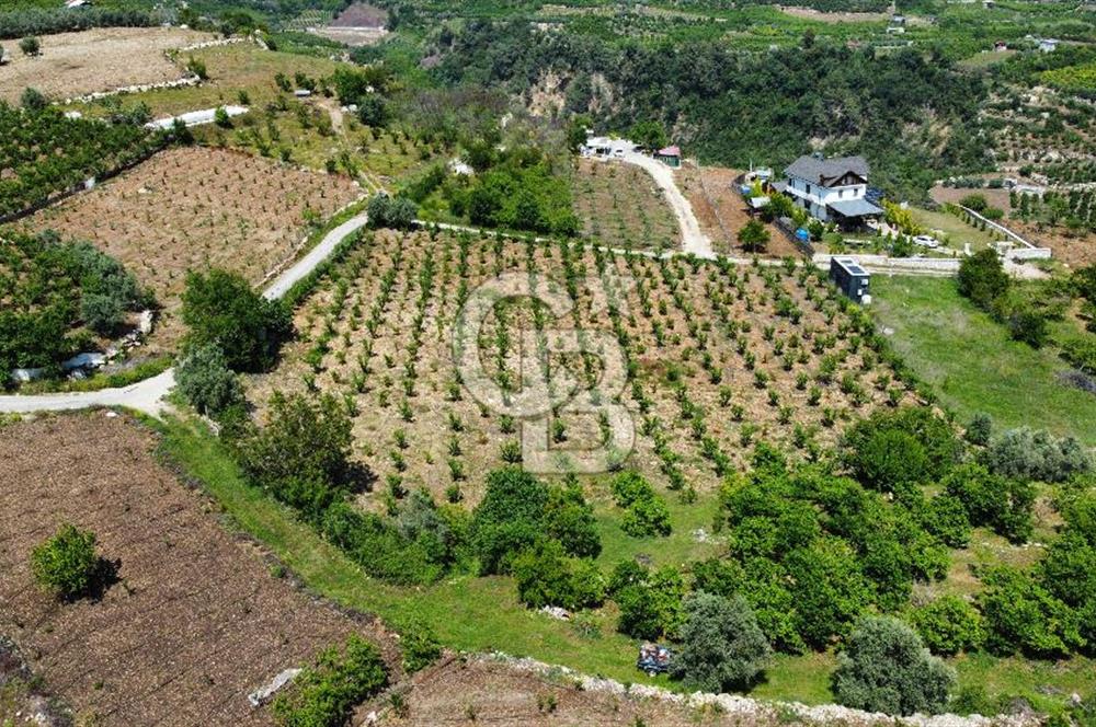 Mersin Yenişehir Uzunkaş Satılık Bahçe
