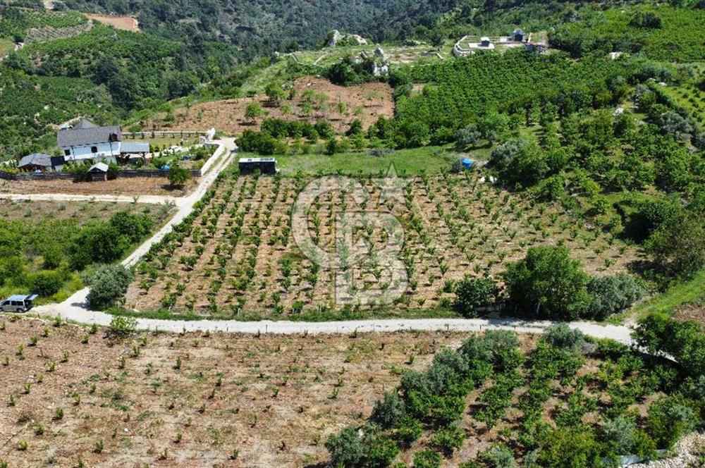Mersin Yenişehir Uzunkaş Satılık Bahçe