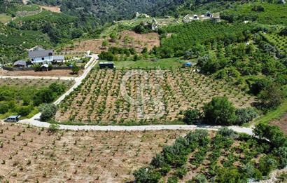 Mersin Yenişehir Uzunkaş Satılık Bahçe