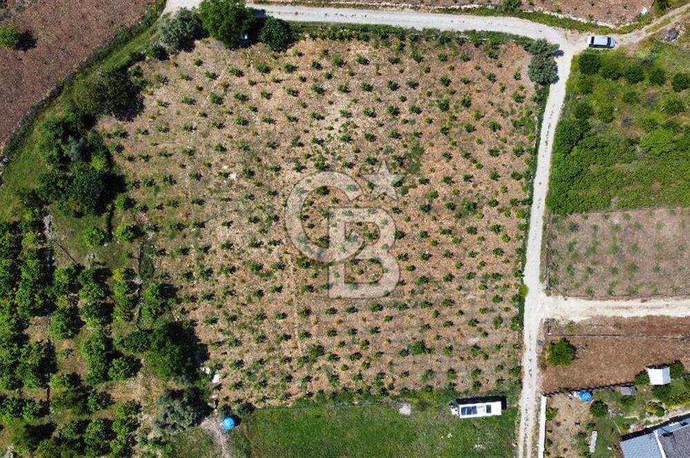 Mersin Yenişehir Uzunkaş Satılık Bahçe
