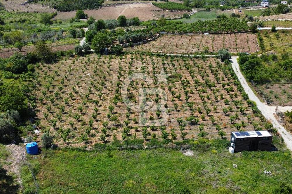 Mersin Yenişehir Uzunkaş Satılık Bahçe
