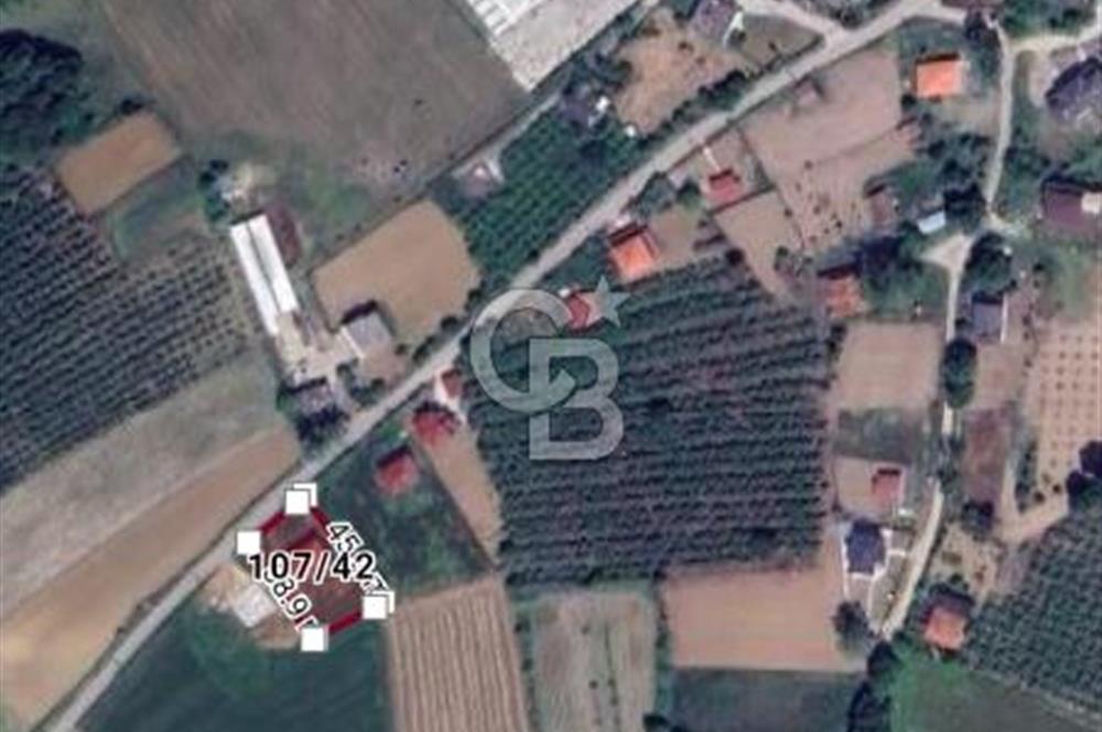DOĞAYLA BAĞLANTILI, ŞEHRE YAKIN SAKARYA KAYNARCA KARAMANLARDA