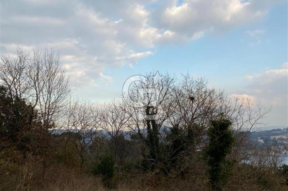 Bebekte 917 m² Boğaz ve İstanbul Manzaralı Emsalsiz Arazi